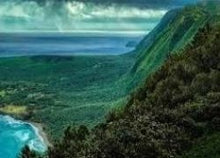 Load image into Gallery viewer, Hawaii 100% Certified Organic Kona, Extra Fancy - Fall-Winter Seasons Only - Mad Press Coffee Co.